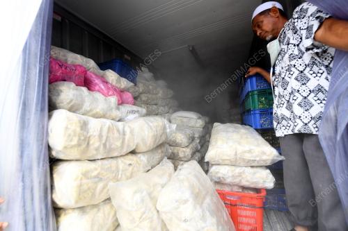 KETUPAT PALAS HUTAN KAMPUNG