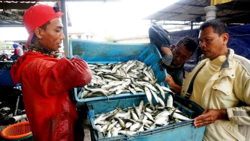 IKAN MURAH