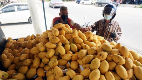 MEMPELAM TINGKAT IMUNITI BADAN