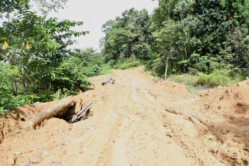 KD04_10112018_PROGRAM_PENANAMAN_POKOK_BN201811093232