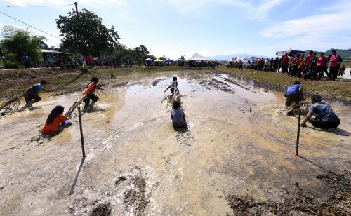 KD04_11032018_PESTA_BENDANG_BN201803091394