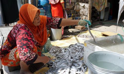 KD04_12012017_IKAN_KERING