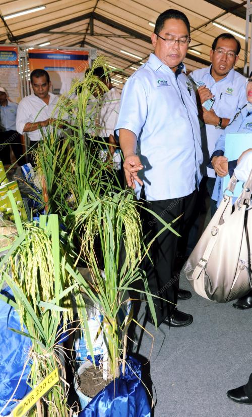 DATUK SERI NOH OMAR