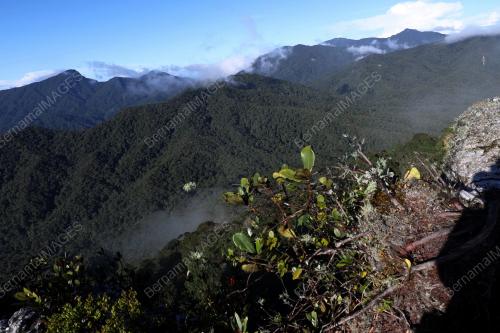 GUNUNG TOK NENEK