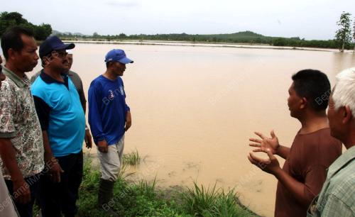 KD04_15062013_SAWAH_TENGGELAM