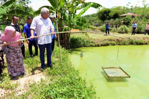 KD04_16042017_KOLAM