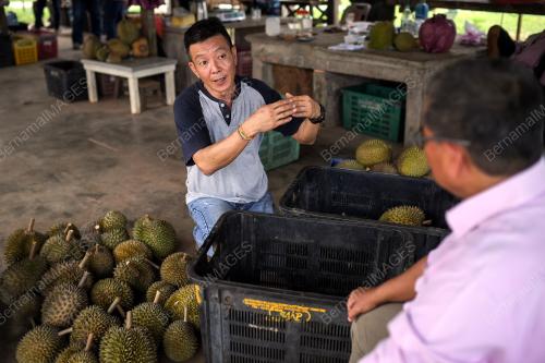 DUSUN DURIAN