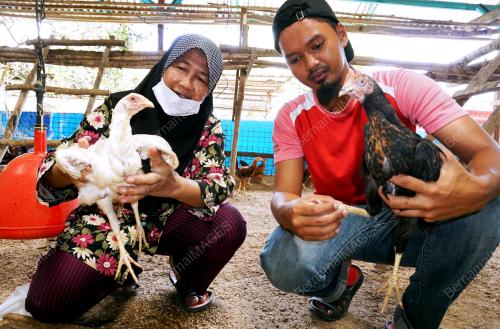 KD04_17092017_USAHAWAN