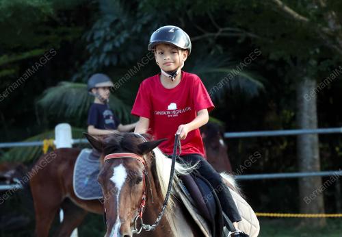EQUINE RESORT,YAN