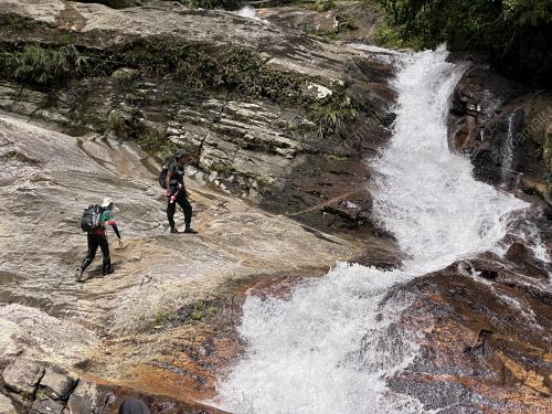 SAMBUTAN HARI HUTAN ANTARABANGSA 2024