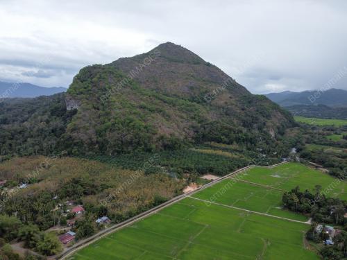 GUNUNG PULAI