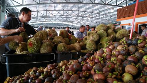 KD04_21072018_DURIAN