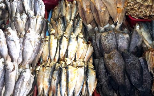 TANJUNG DAWAI JADI TUMPUAN