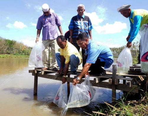 KD04_23022017_UDANG