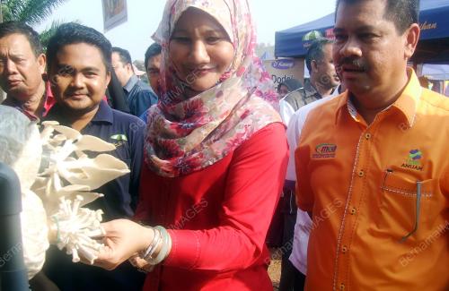 KD04_23042016_PASAR_TANI