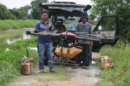 PETANI