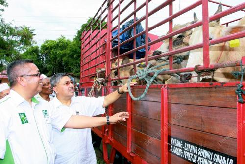 KD04_24102012_LEMBU_KORBAN