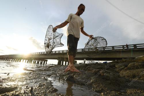 PENCARI KETAM BATU