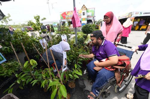 KD04_25072019_KEDAH_BN201907225886