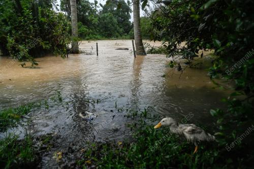 BANJIR KEDAH