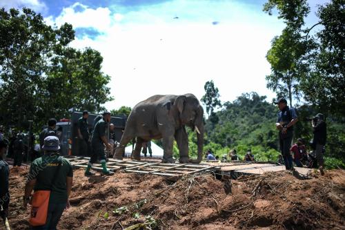 GAJAH LIAR