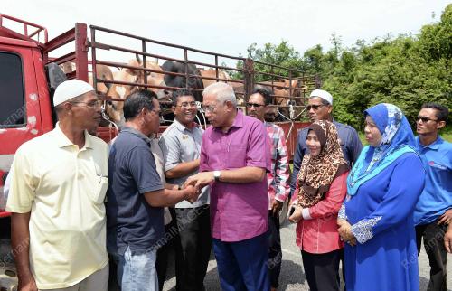 KD04_29082017_LEMBU