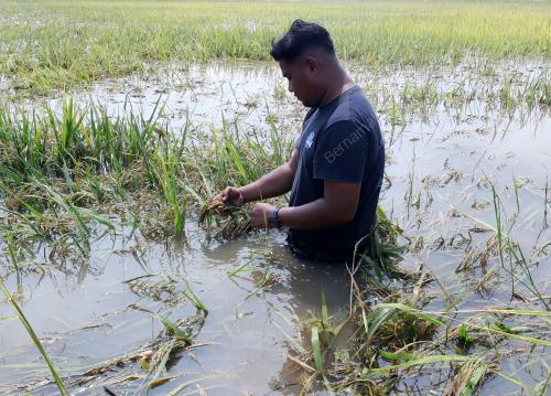 BANJIR DI ALOR SETAR