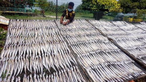 PERUSAHAAN IKAN TIMAH KERING