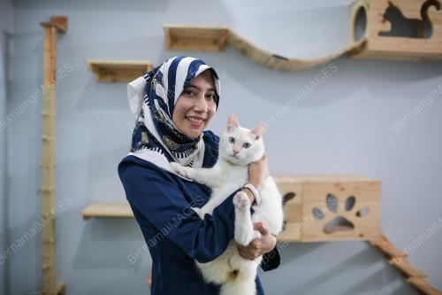 SYURGA KUCING