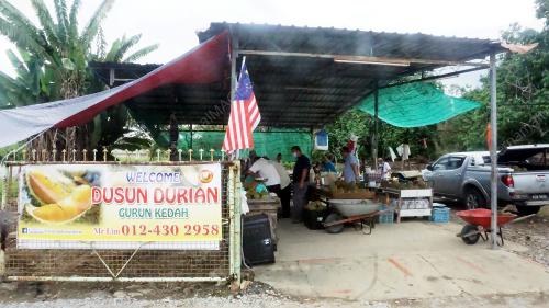 DURIAN PKPB