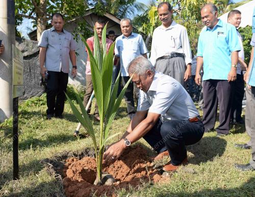 KD05_01022018_KELAPA_BN201801307571