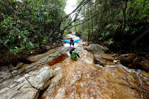 HUTAN_JERAI