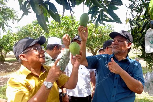 HARUM MANIS KEDAH