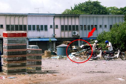 PUSAT SEMBELIHAN BABI KG BERJAYA