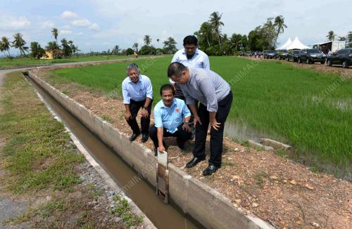KD05_03072018_SAWAH_BN201807021957