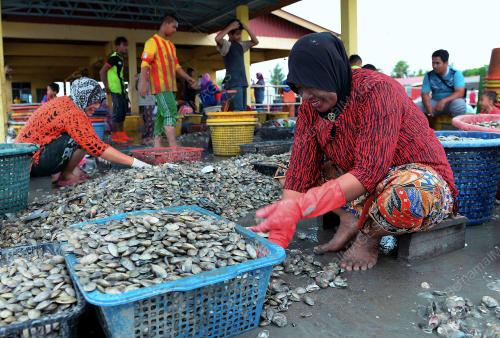 KD05_04042017_KERANG