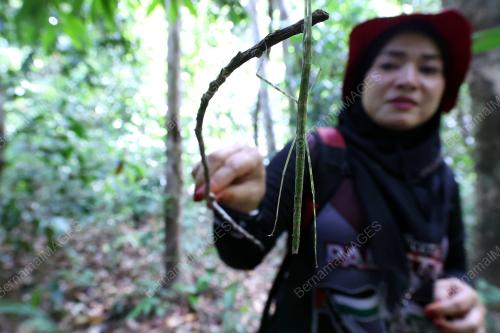 KURSUS ASAS SURVIVAL DAN IKHTIAR HIDUP