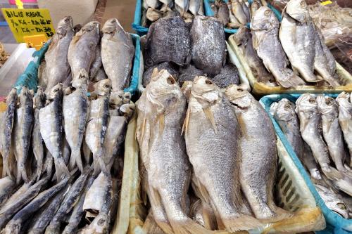 TANJUNG DAWAI JADI TUMPUAN