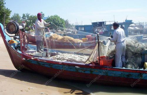 SETAHUN TSUNAMI