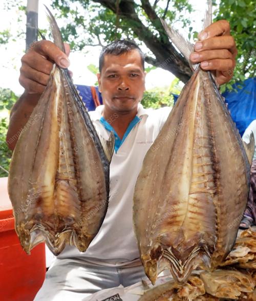 KD05_09052019_IKAN