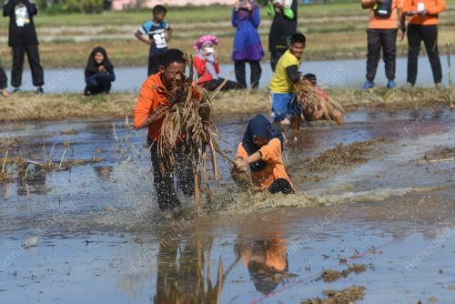 KD05_11032018_PESTA_BENDANG_BN201803091394