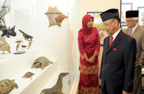 KD05_11082013_AGONG