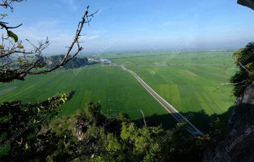 BUKIT KODIANG@BUKIT MOK CUN