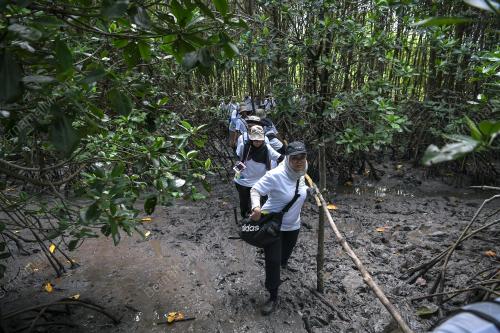 JABATAN HUTAN