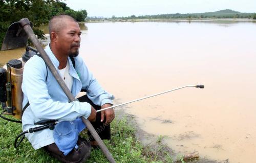KD05_15062013_SAWAH_TENGGELAM