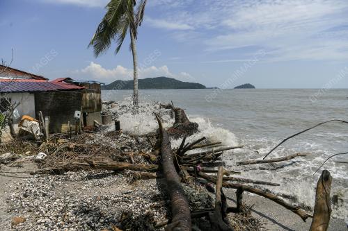 HAKISAN PANTAI TANJUNG DAWAI