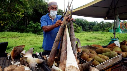 REBUNG BETING DAPAT PERMINTAAN