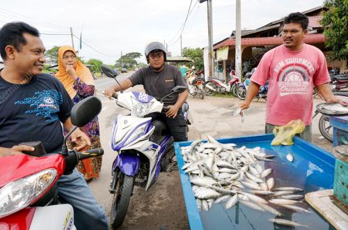 KD05_17012002_IKAN_KURANG