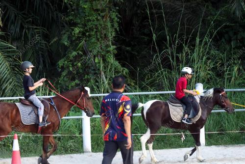EQUINE RESORT,YAN