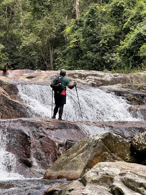 SAMBUTAN HARI HUTAN ANTARABANGSA 2024